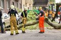 Feuerwehr_Baum   017